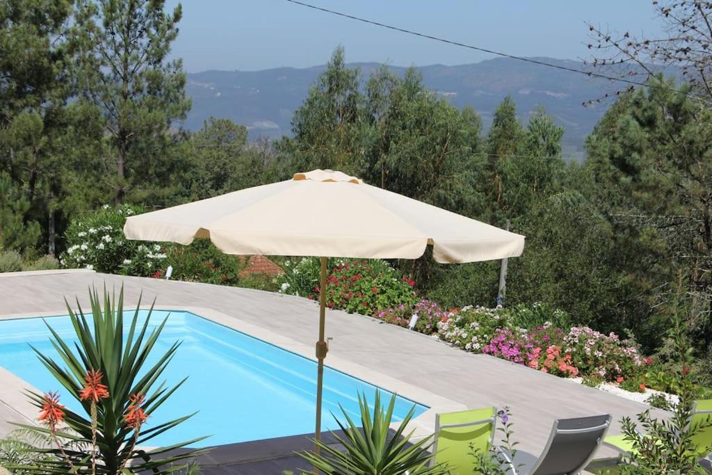 Casa Quelha Da Presa Villa เอสปีโญ ภายนอก รูปภาพ