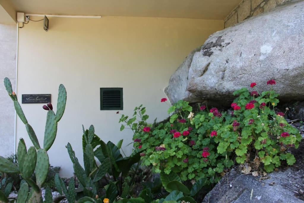 Casa Quelha Da Presa Villa เอสปีโญ ภายนอก รูปภาพ